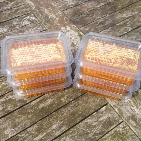Comb Honey
