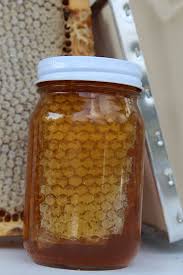 Honey Raw 1lb with comb