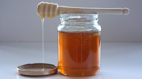 Raw Honey 12 Oz